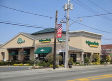 The Green Turtle, hempstead